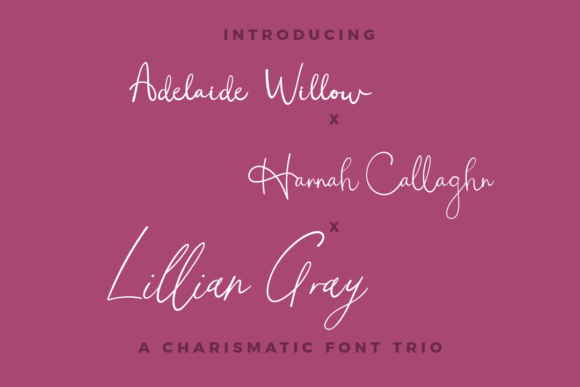 Adelaide Hannah Lillian Trio: A Script Font for Editorial Elegance