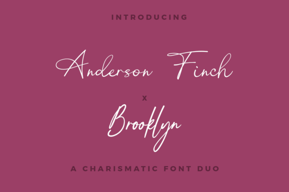 Anderson Finch X Brooklyn Duo: A Font That Elevates Web Design