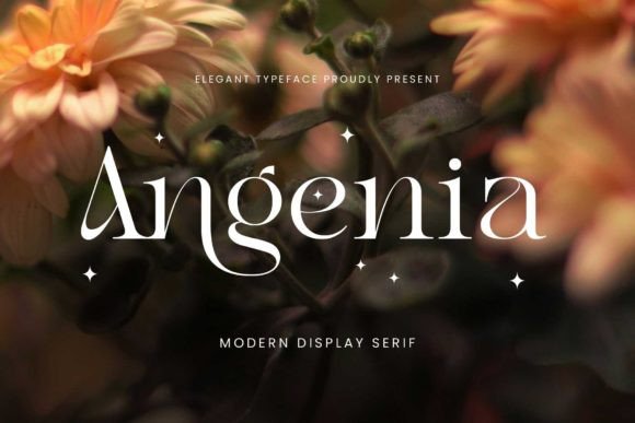 Angenia: A Serif Font That Elevates Your Brand’s Visual Story