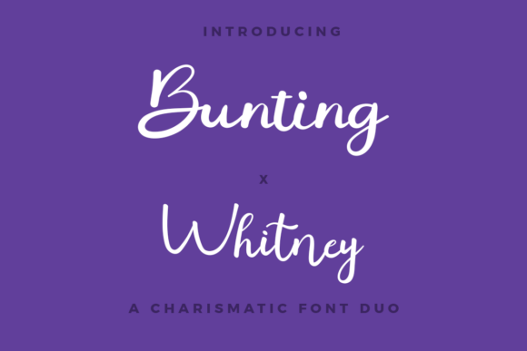 Bunting X Whitney: A Font That Elevates Your Brand