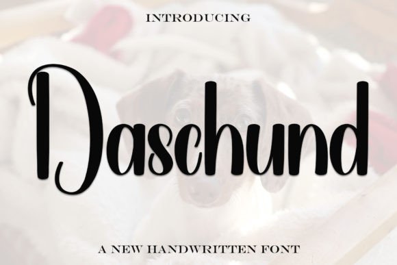 Daschund: The Perfect Font for a Timeless Brand