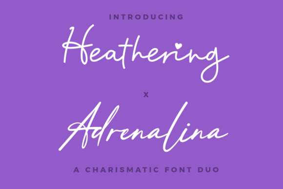 Heathering X Adrenalina Duo: A Script Amp Font for Digital Design