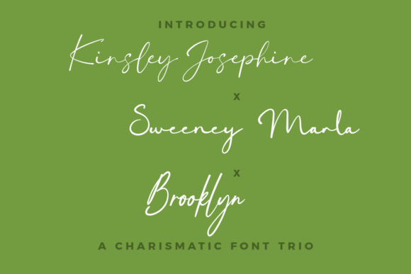 Kinsley, Sweeney, Brooklyn Trio: A Font Trio for Campaign Clarity