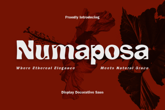 Numaposa: A Font That Breathes Life Into Editorial Design