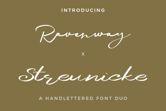 Scripting Elegance with Ravenway X Streunicke Duo