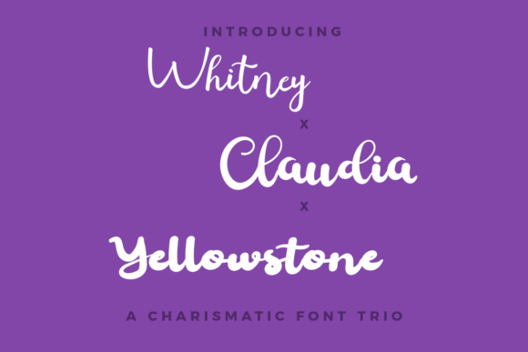 Whitney Claudia Yellowstone Trio: A Script Font for Campaign Creativity