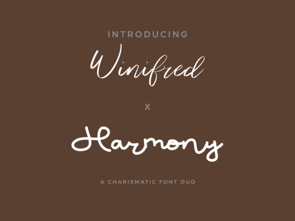 Winifred X Harmony Duo: The Font That Elevates Your Campaigns